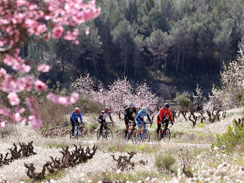 Fietsen langs bloeiende amandelbomen in de Sierra d'Aitana (Alicante)