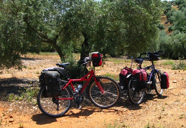 Fietsen door het olijfbomenlandschap van Andalusië