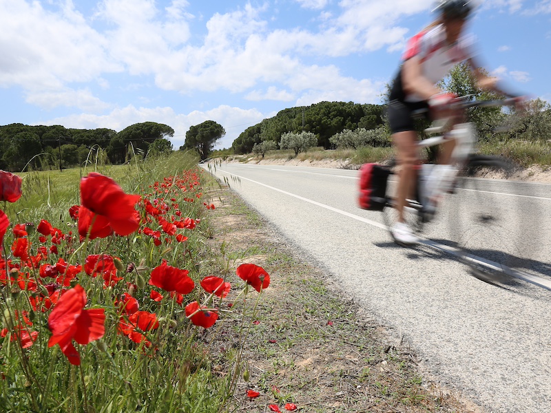 Fietsen in de provincie Alicante (Zuid-Spanje)