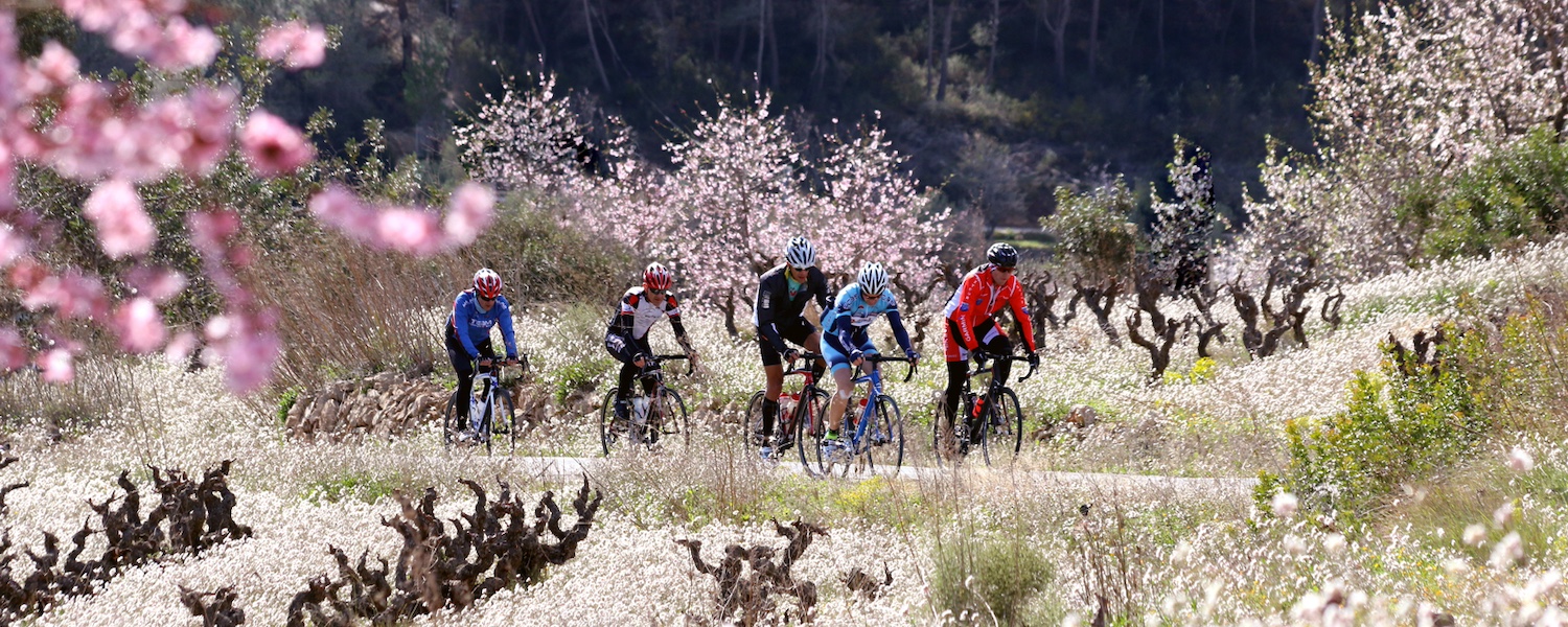Kleurrijke bloesems tijdens een fietsvakantie in het achterland van de Costa Blanca (Zuid-Spanje) 