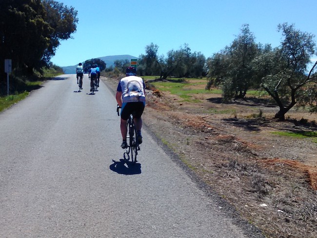 Fietsvakantie in omgeving Álora (Málaga, Andalusië)