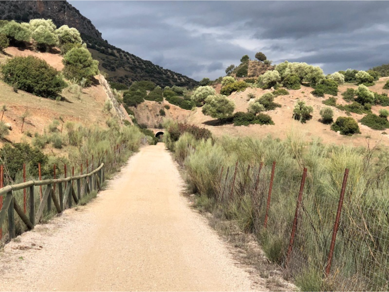 Fietsen ove de Via Verde del Aceite in Andalusië