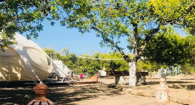 3 glamping tenten in de Mediterrane tuin van Glamping La Nogala in Alhaurín el Grande (Malaga)