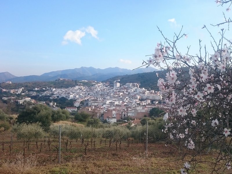 Wit bergdorp Guaro ligt 5 minuten lopen van Nido Aguila Blanca