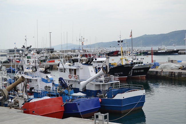 De haven van vissersdorp Getaria in Baskenland (Noord Spanje)