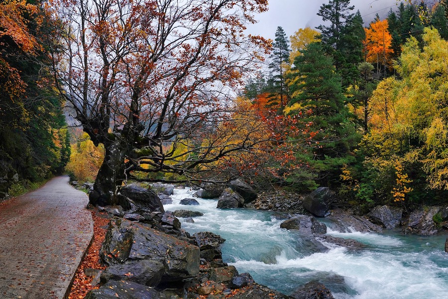 Herfst in nationaal park Ordesa (Huesca, Aragón)