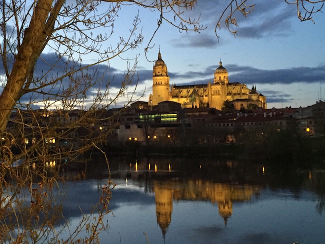 Uitzicht op kathedralen en Casa Lis vanaf de Termes rivier in Salamanca