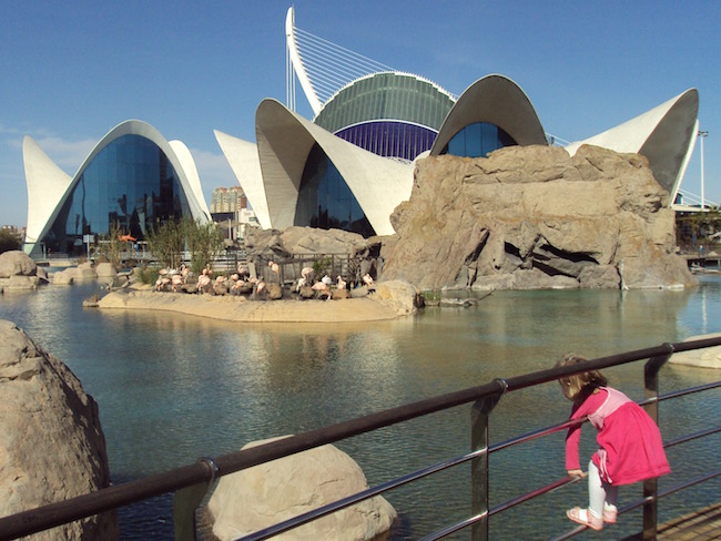 Dieren bewonderen in het Oceanográfico in de stad der Kunsten en Wetenschappen in Valencia