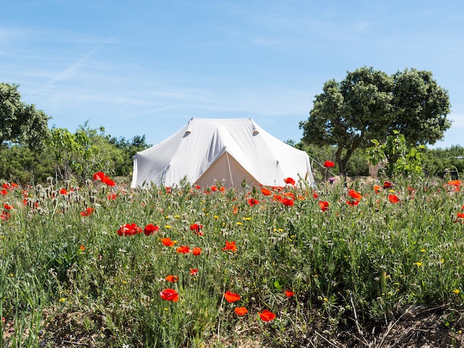 Minicamping Benalí - in het groene binnenland van Valencia