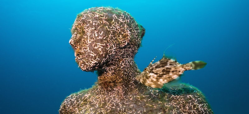 De onderwaterbeelden van Taylor worden kunstmatige riffen voor flora en fauna