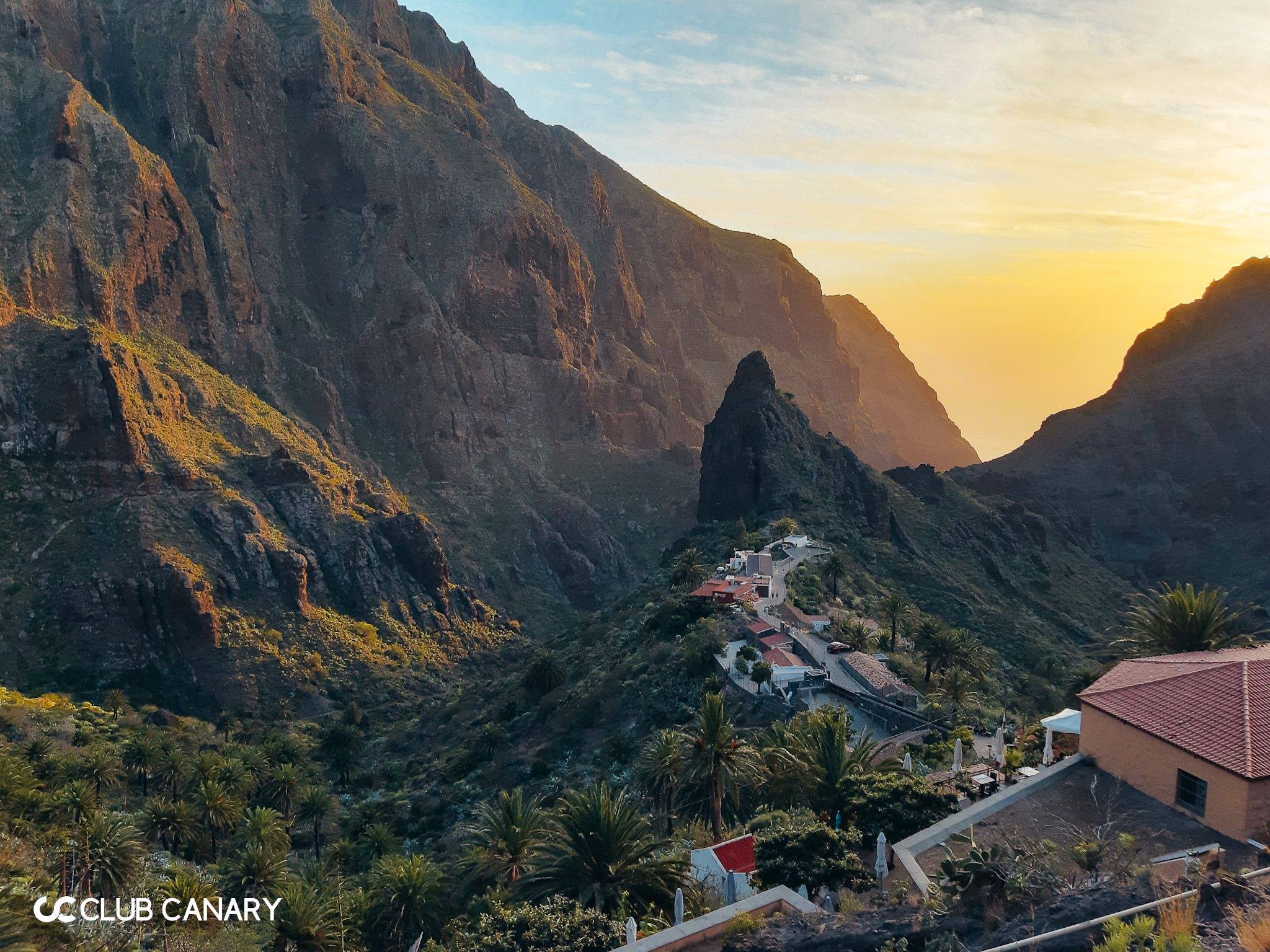 Busexcursie naar Maca (Tenerife)