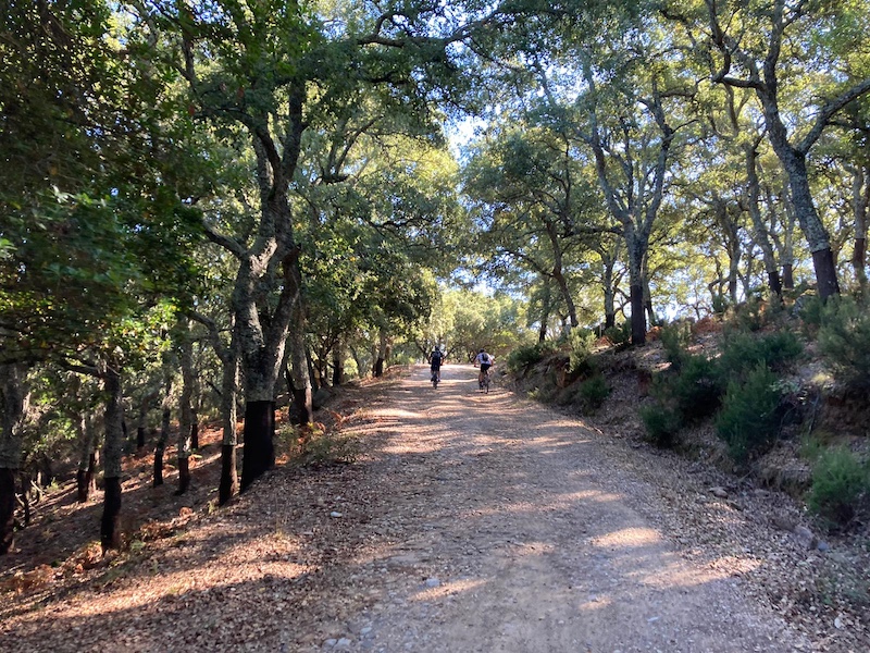 Mountainbiken langs kurkbomen in de Sierra de Grazalema in Andalusië