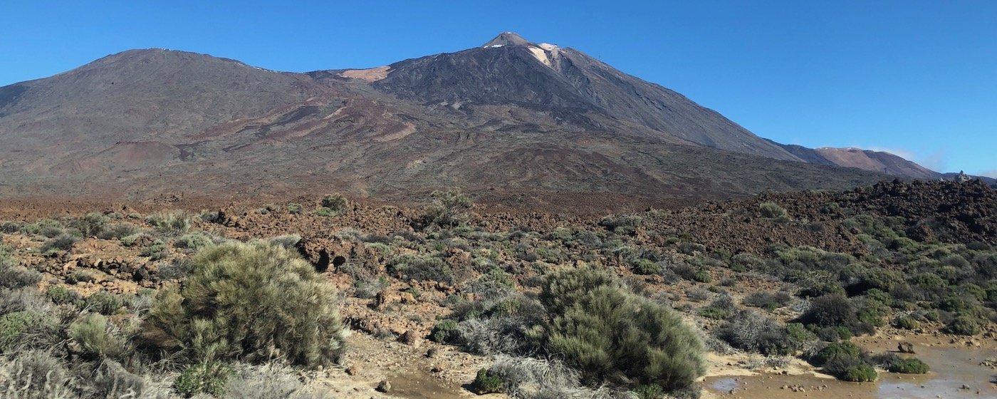 Teide vulkaan in nationaal park El Teide op Tenerife (Canarische eilanden)