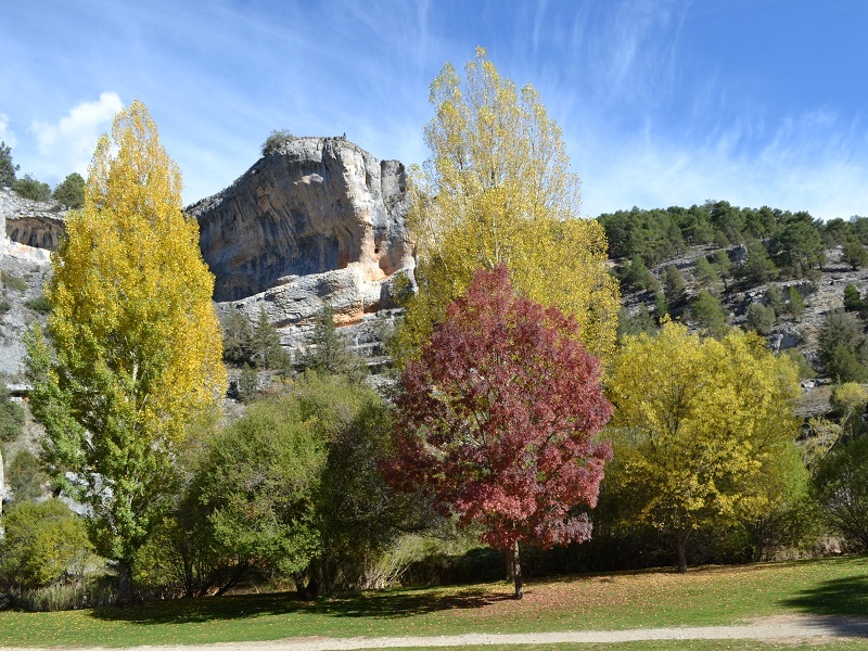 Prachtige herfstkleuren in de Cañón de río Lobos kloof