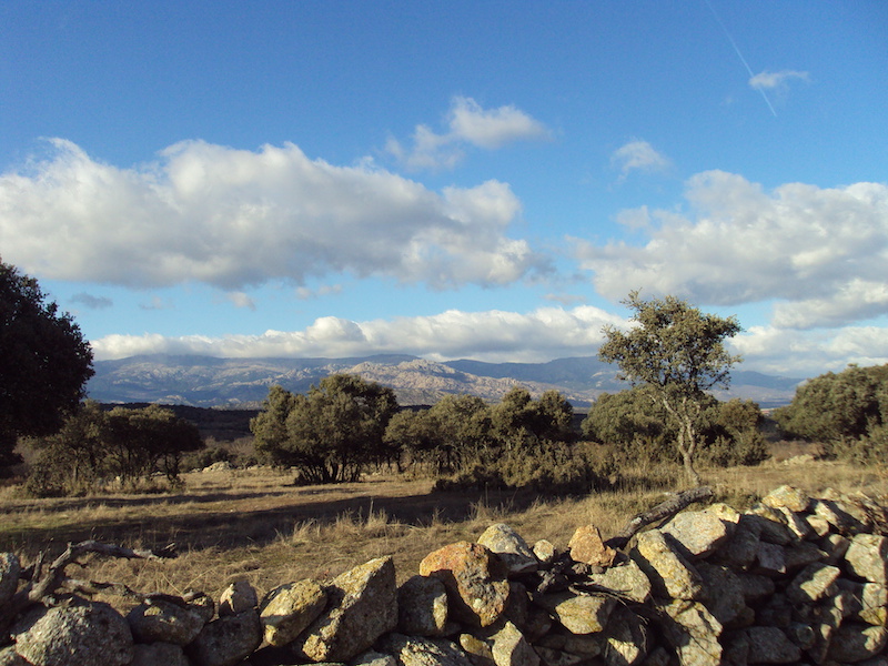 Natuurgebied Cuenca Alta del Manzanares in de regio Madrid
