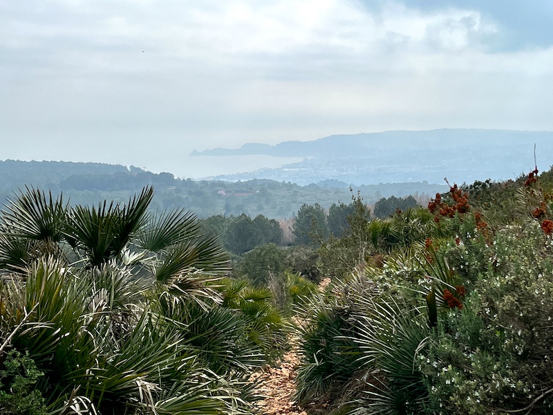 Jávea vanuit natuurpark Montgó