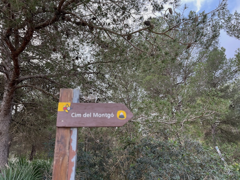 Wandelroute Cim del Montgó naar top van Montgó berg