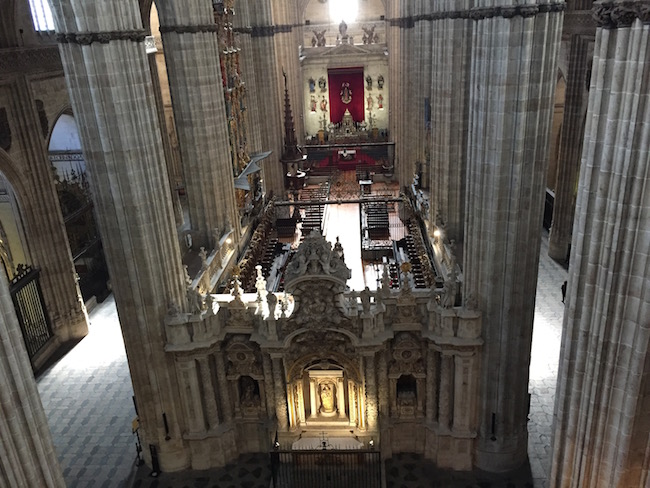 De nieuwe kathedraal van Salamanca (Midden Spanje)