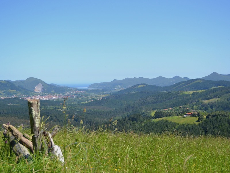 Glooiend groen berglandschap in Noord-Spanje