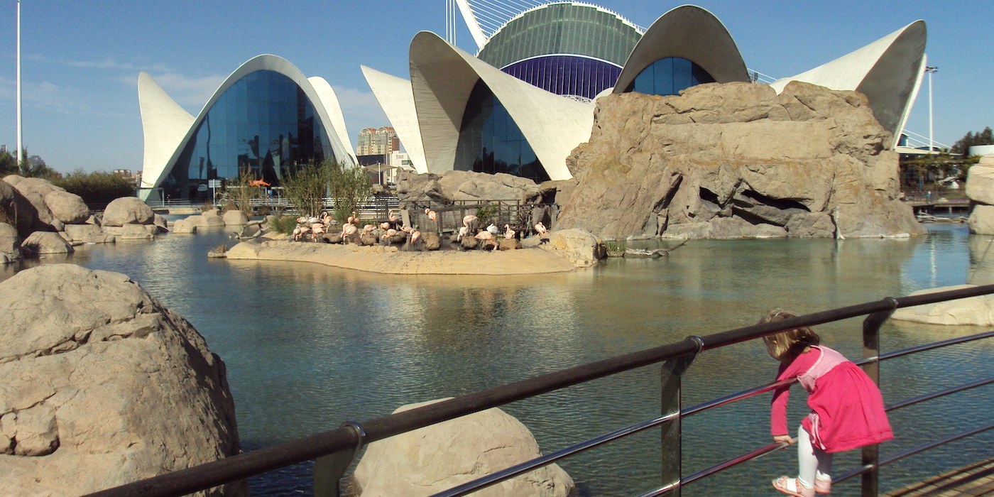 Missschien de  leukste kinderactiviteit in Valencia: het hypermoderne aquarium in de Stad der Kunsten en Wetenschappen