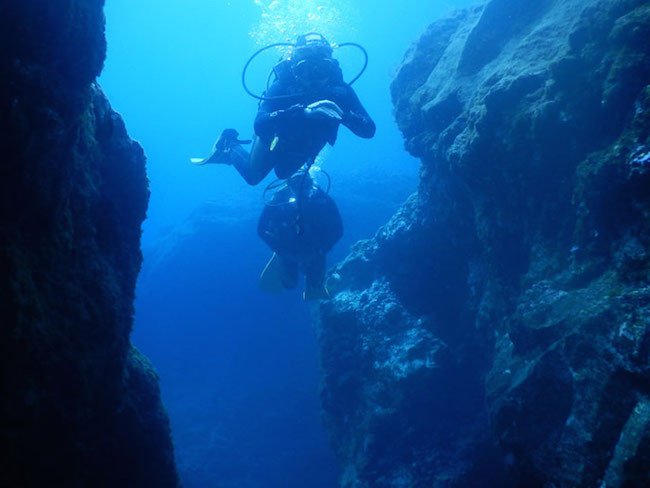 De fascinerende onderwaterwereld langs de kust van La Palma