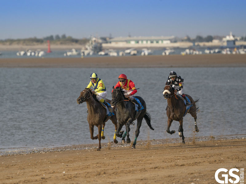 Spanje's oudste paardenraces aan het strand van Sanlucar (Andalusië)