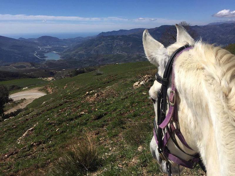 Paardrijden in de Alpujarras (Andalusië)