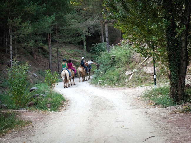 Paardrijtochten vanuit natuurcamping Manso Coguleras