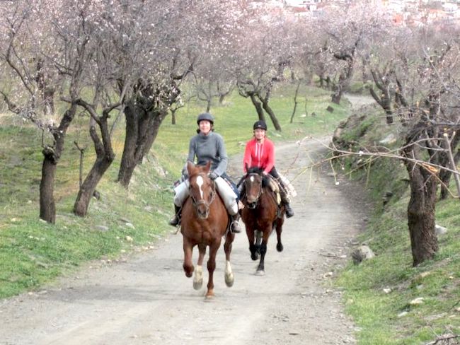 Paardrijden in omgeving Cortijo la Balsa