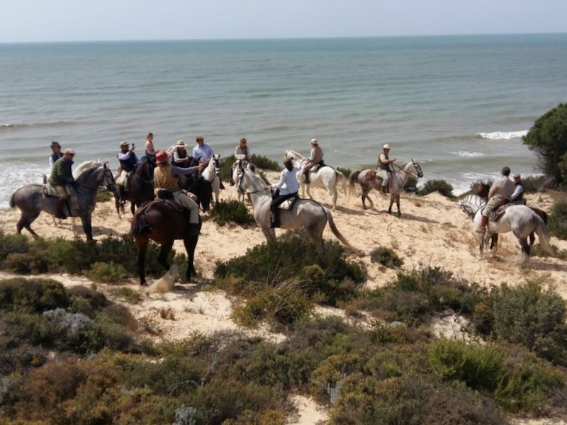 Begeleide paardrijtocht door nationaalpark Doñana (Andalusië)