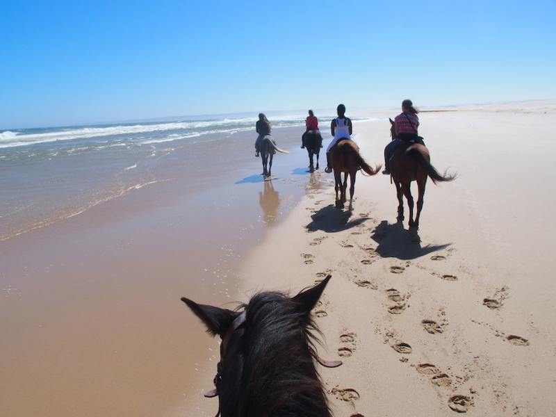 Paardrijden op de zandstranden van de Costa del Sol en Costa de la Luz (Andalusië)