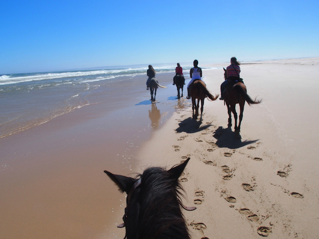 Paardrijden langs de Costa de la Luz in de provincie Cádiz (in het westen van Andalusië)