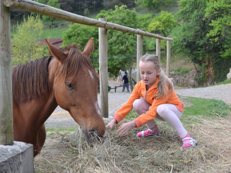 Paardrijvakantie in Spanje voor kinderen