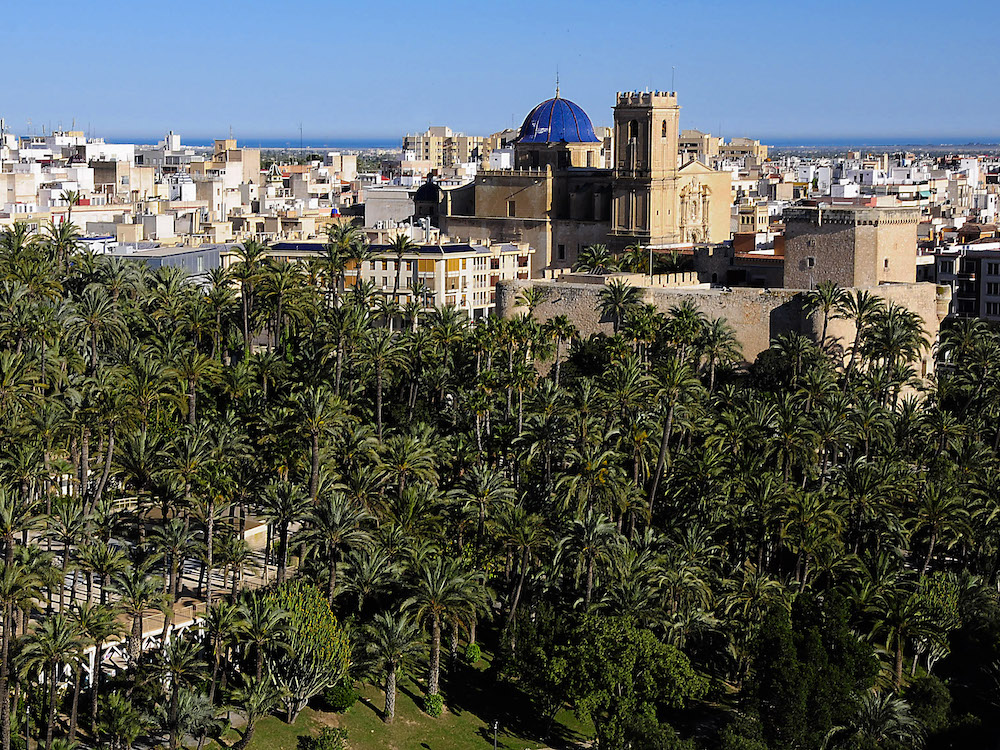 Palmbomen in Elche (Alicante, Valencia)