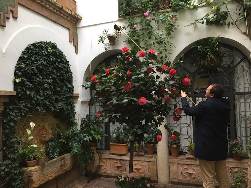 Francisco van Ontdek Cordoba doet voor hoe Cordobezen de bloemen water geven.