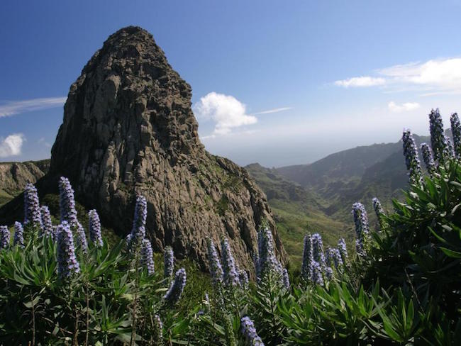 Pico de Garajonay op Canarische Eiland La Gomera