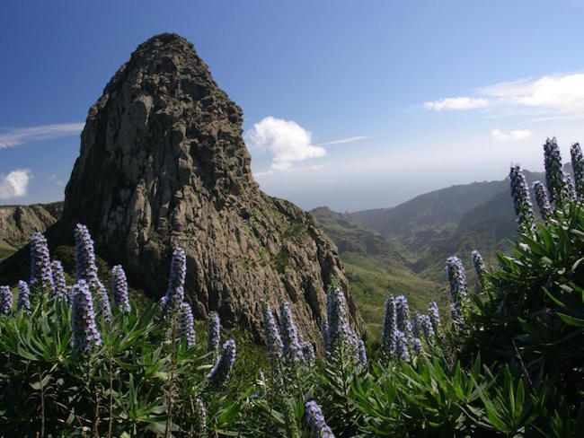 Nationaal park Garajonay (Canarisch eiland La Gomera)