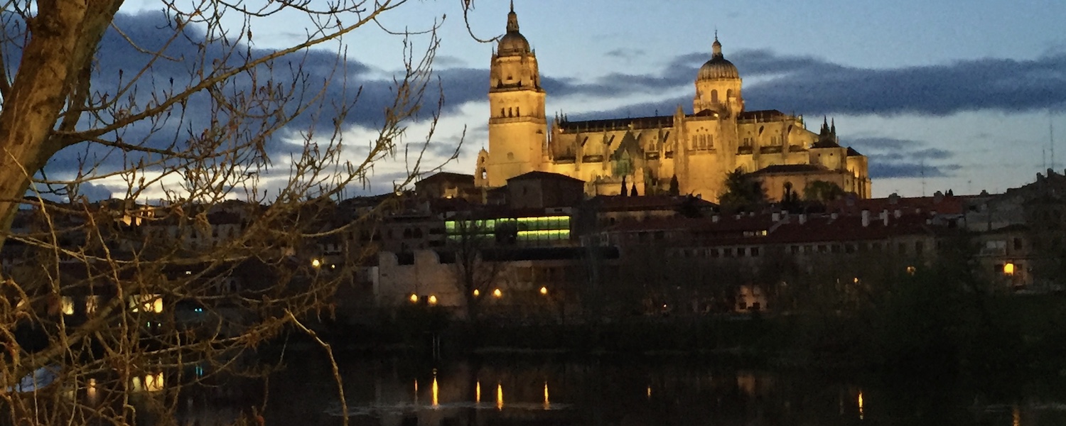 Uitzicht op Salamanca vanaf overkant Tormes rivier