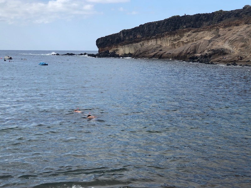 Snorkelen in de baai bij El Puertito (Tenerife)