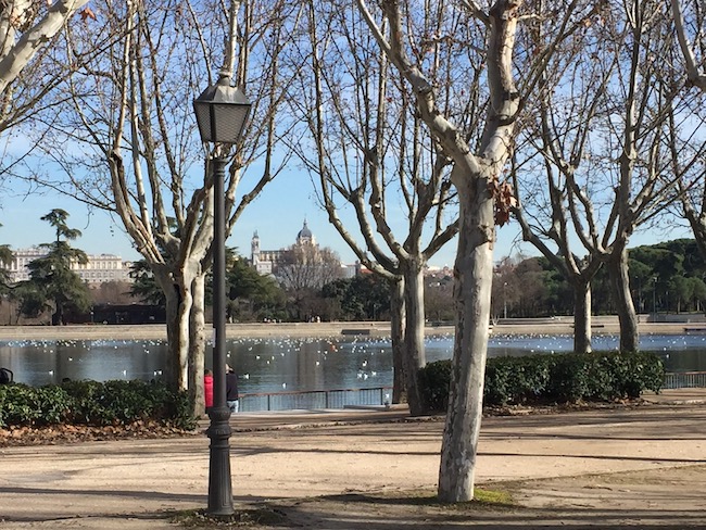 Koninklijk Paleis van Madrid en Almudena kathedraal vanaf het meer van Casa del Campo
