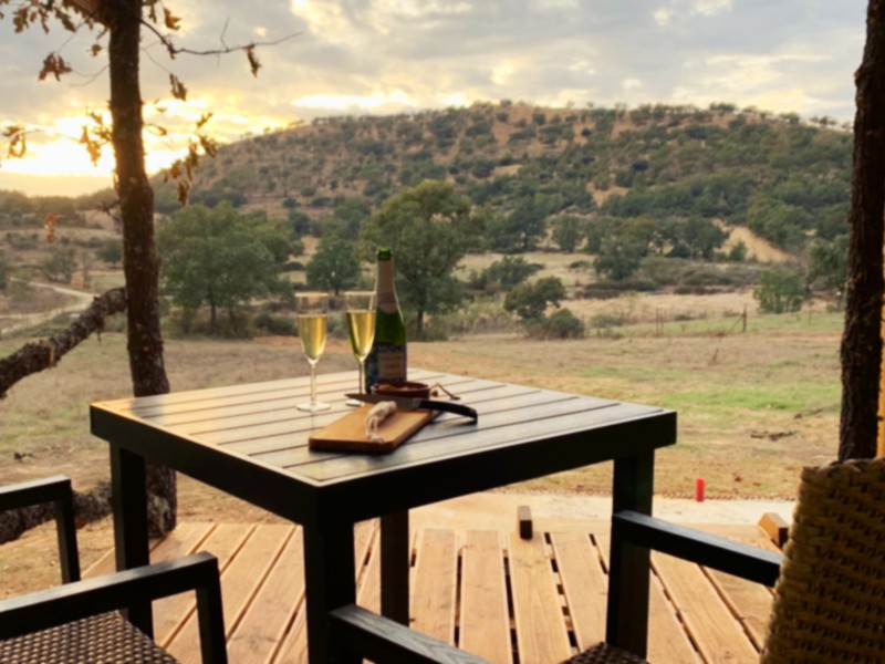 Genieten op het terras van de Pipowagen