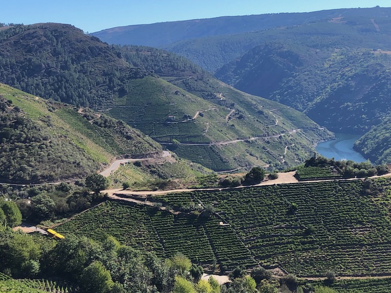 Toeristentrein langs wijngaarden Cañon del Sil (Ribeira Sacra)