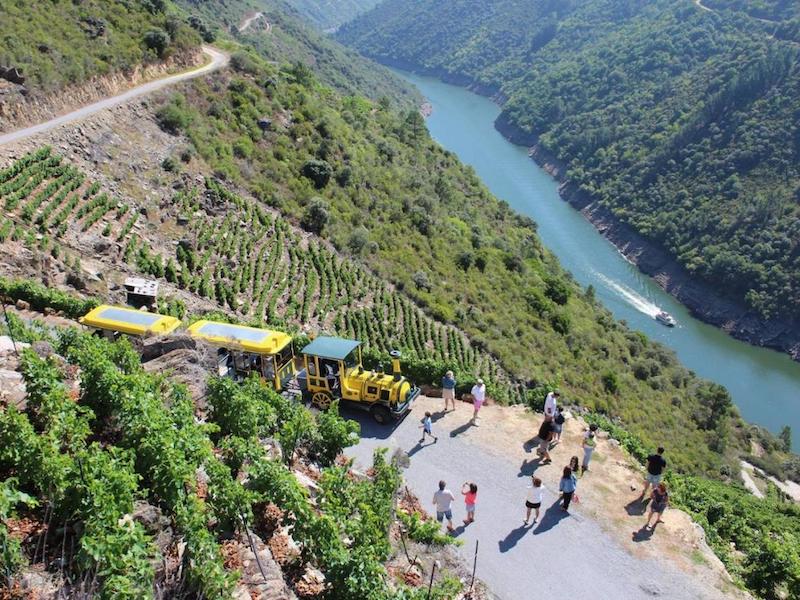 Aba Sacra trein langs de wijngaarden van de Cañón del Sil (Ribeira Sacra)