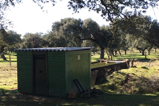 Schuilhut voor vogelaars en fotografen op Finca las Abubillas