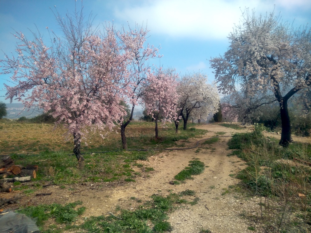 Wandelen in de bergen van de provincie Granada