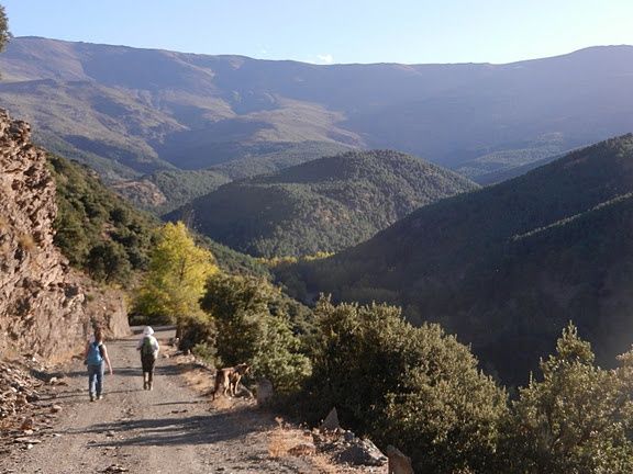 Een winterwandeling in het achterland van de Costa del Sol (Andalusië)