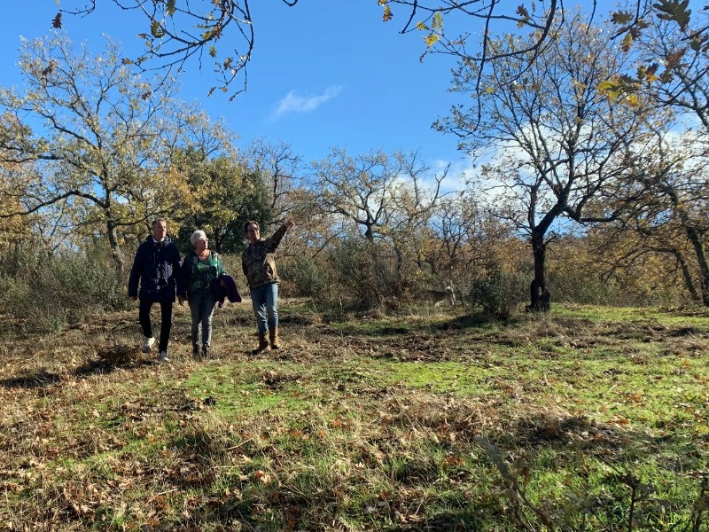 Het hele jaar rond kan je heerlijk wandelen op de Finca