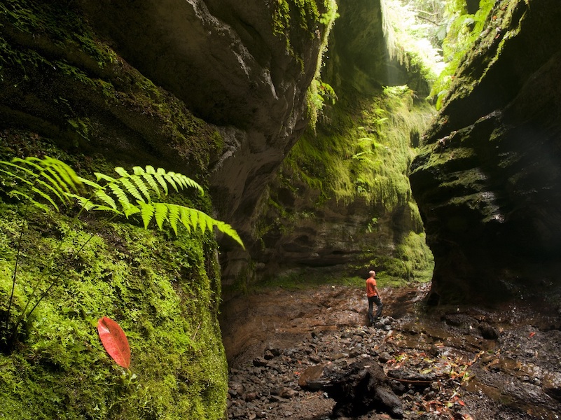 Wandelen door kloof op La Palma (foto: Saúl Santos)