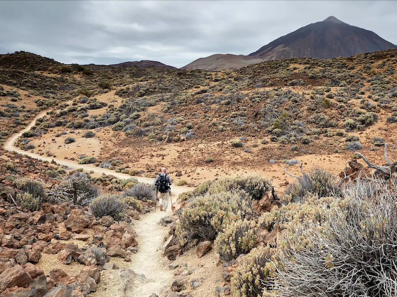 Een zorgeloze groepswandelvakantie op Tenerife