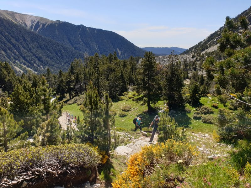 Wandelen in het groene Ripollès gebied ten noordwesten van vulkaangebied Garrotxa